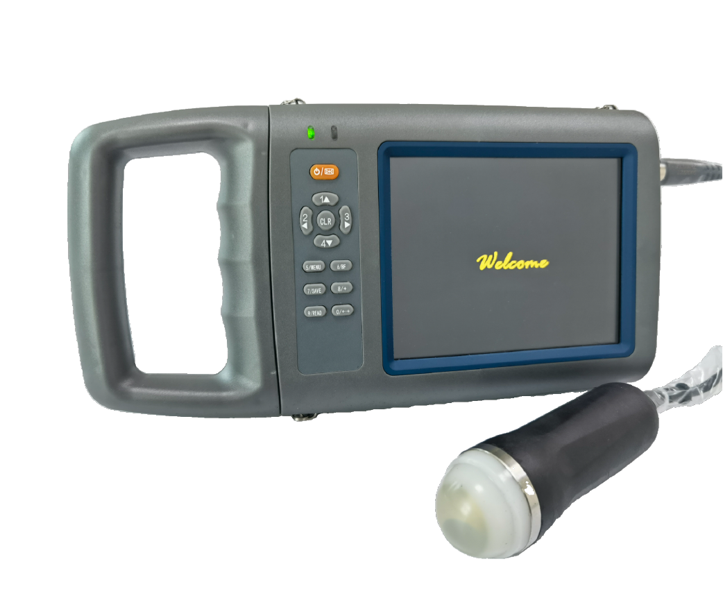 掌上超声R50